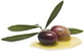 fruto da oliveira